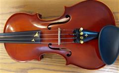 Violin manufacturer