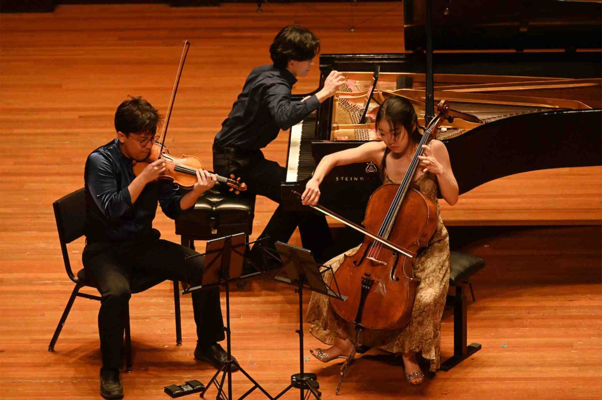professional violinist in concert