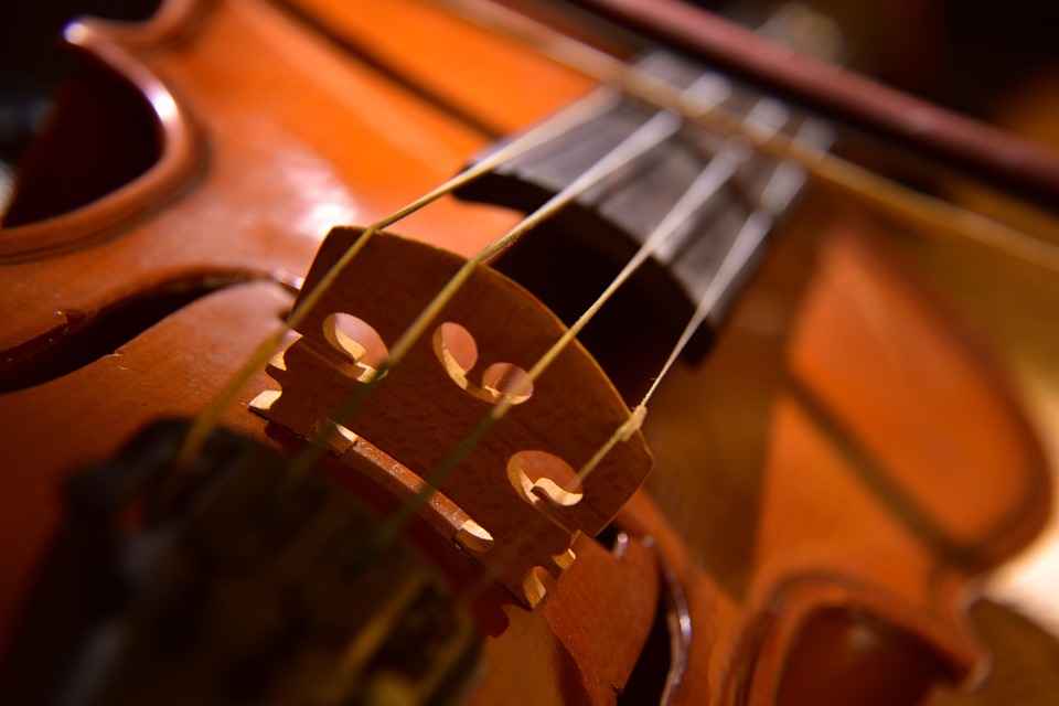 violin-7681304_960_720